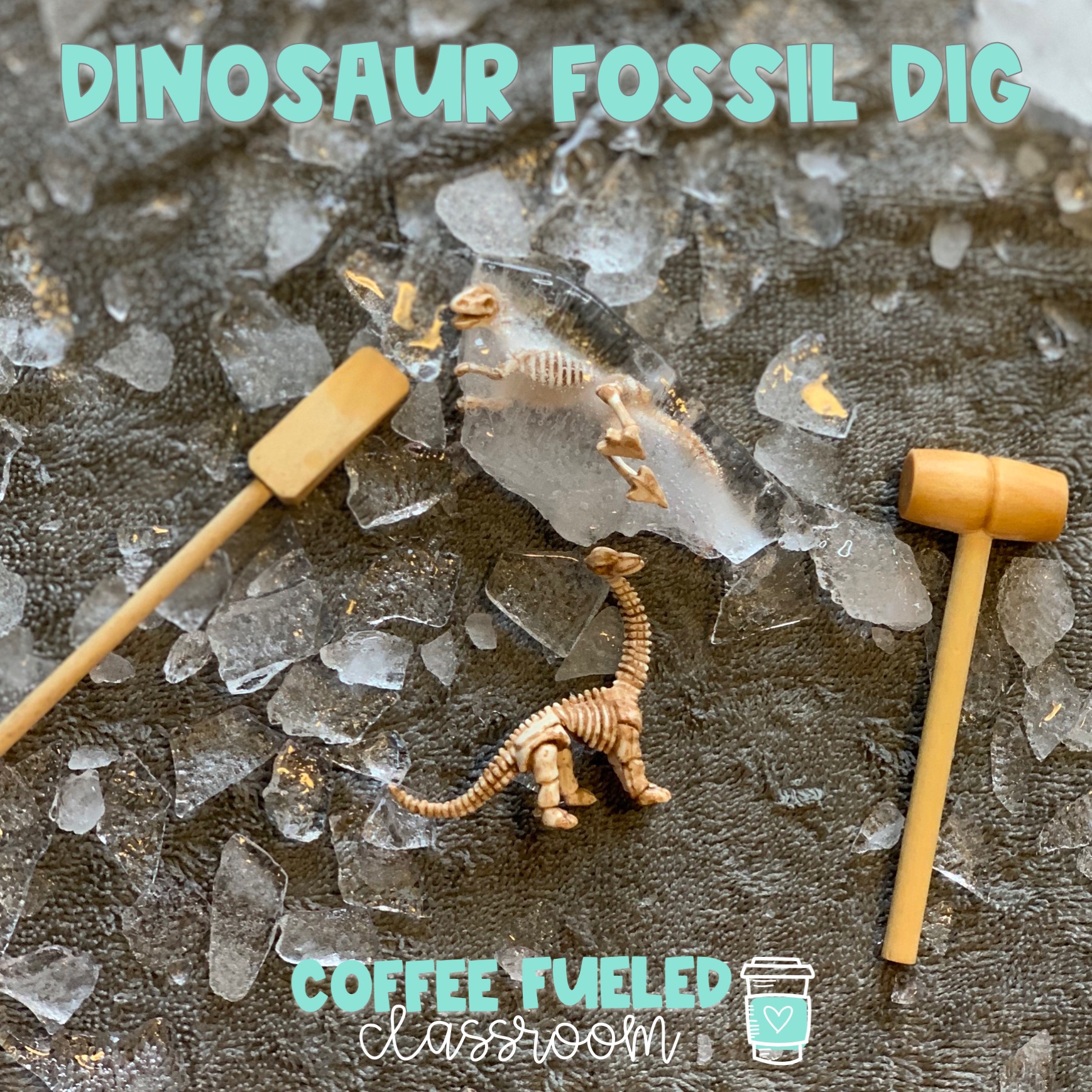 Dinosaur-Fossil-Dig-Activity