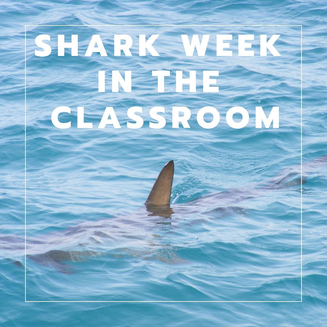 shark-week-in-the-classroom